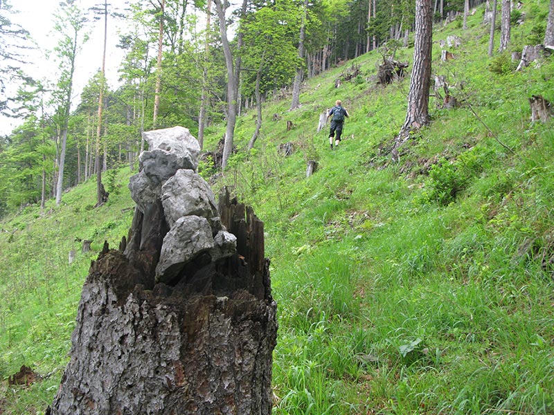 fronbachkogel